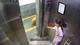 लिफ्ट में खड़ी थी बच्ची तभी कुत्ते ने किया हमला, पूरी घटना CCTV में कैद