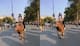 Funny Video: না ঘোড়া নয়, মহিষের পিঠে চড়ে রাস্তায় ছুটলো যুবক, হতবাক রাস্তার লোক-সহ সাইবারবাসী