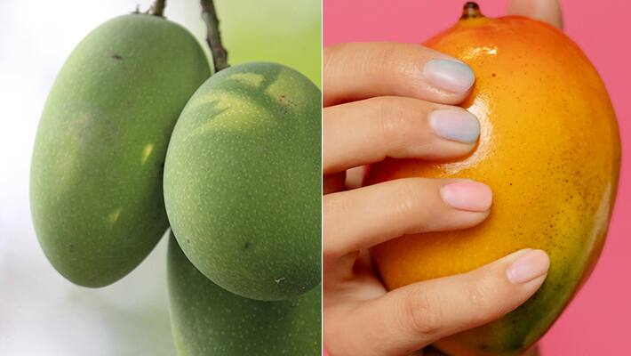 Raw vs ripe mango best for health
