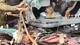 Yamuna Expressway Accident Video: 15 मिनट तक मौत के जाल में फंसी रही मां-बेटी की जिंदगी, फिर हुआ ऐसा की किसी को नहीं हुआ यकीन