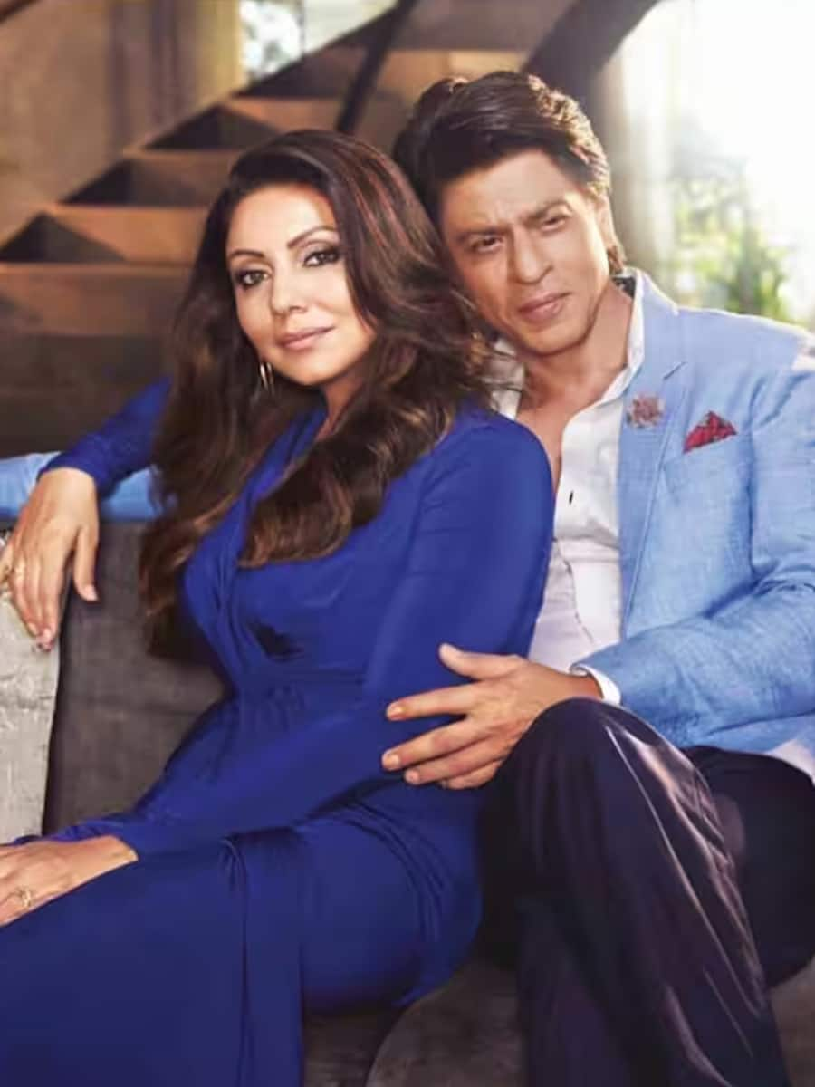 Shahrukh Khan Company Red Chillies Earned 85 Crore In Fiscal Year 2023 Know King Khan Net Worth