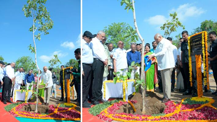Bhupendra-Patel-inaugurate-Mission-Three-Million-Trees