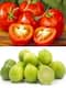 टमाटर 80 तो नींबू 160 रु किलो, अचानक क्यों बढ़े फल-सब्जियों के भाव