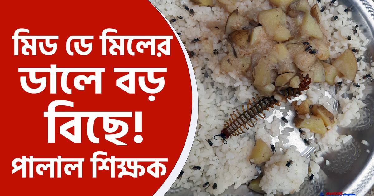 তুলকালাম! মিড ডে মিলের খাবারে আস্ত বিছে! জানাজানি হতেই পালাল শিক্ষক 