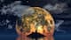 ছত্রাক দিয়ে তৈরি হবে চাঁদের বাড়ি, মঙ্গলে থাকার নীল নক্সা তৈরি করছে NASA