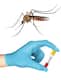 Dengue का छाने लगा प्रकोप, खुद को रखना है सुरक्षित तो पहचानें 5 लक्षण