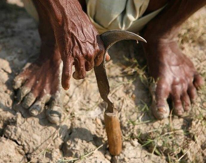 महाराष्ट्र में हर दिन 7 किसानों ने की आत्महत्या, विधानसभा में सरकार ने दी जानकारी, बताया क्या है वजह
