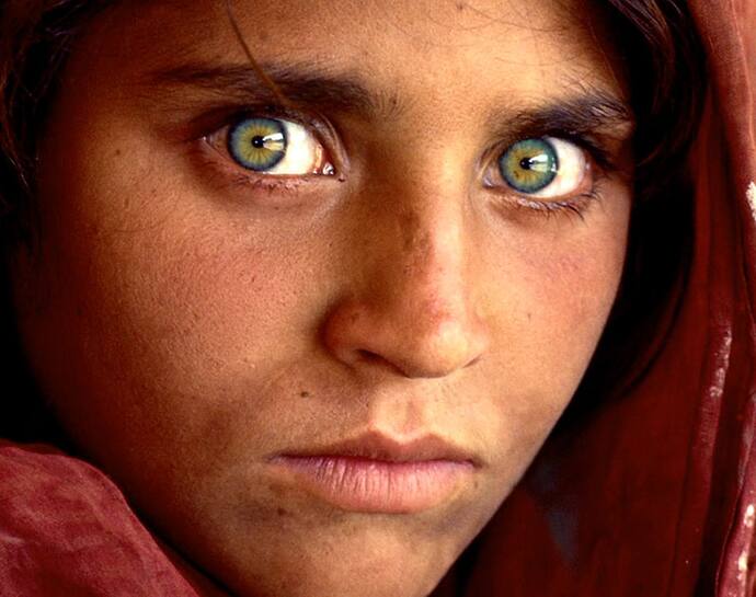 Afghan Girl: বিখ্যাত রিফিউজি এখন কোথায়, মনে পড়ে ন্যাট-জিওর সেই 'সবুজ চোখের' আফগান কন্যাকে