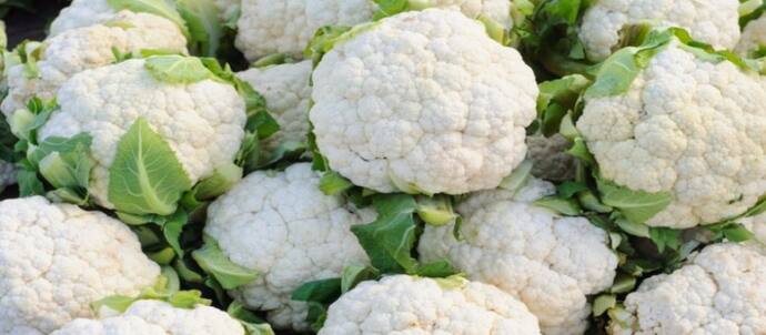 cauliflower-1-14518.jpg