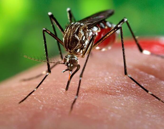 kanpur zika virus update :  शहर में 9 नए संक्रमित,  योगी ने मांगी रिपोर्ट