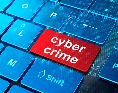 cyber crime new1